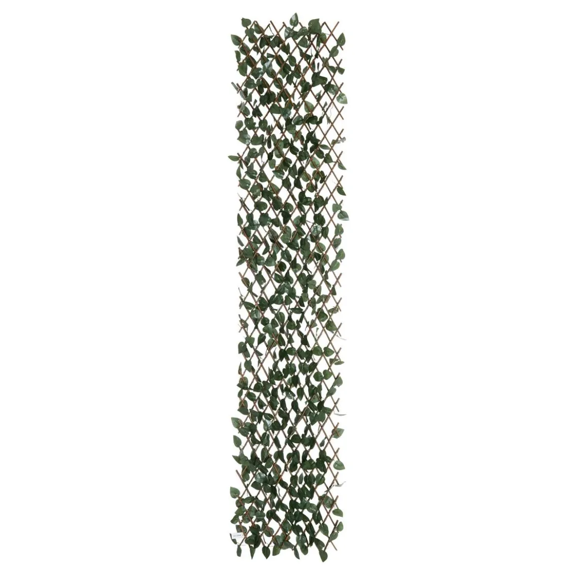 Trellis "Nao"