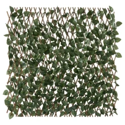 Trellis