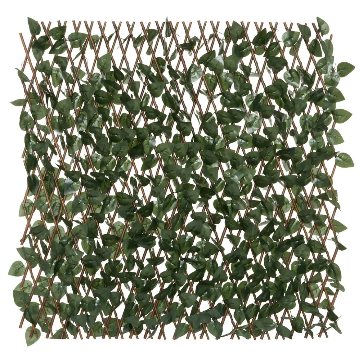 Trellis "Nao"
